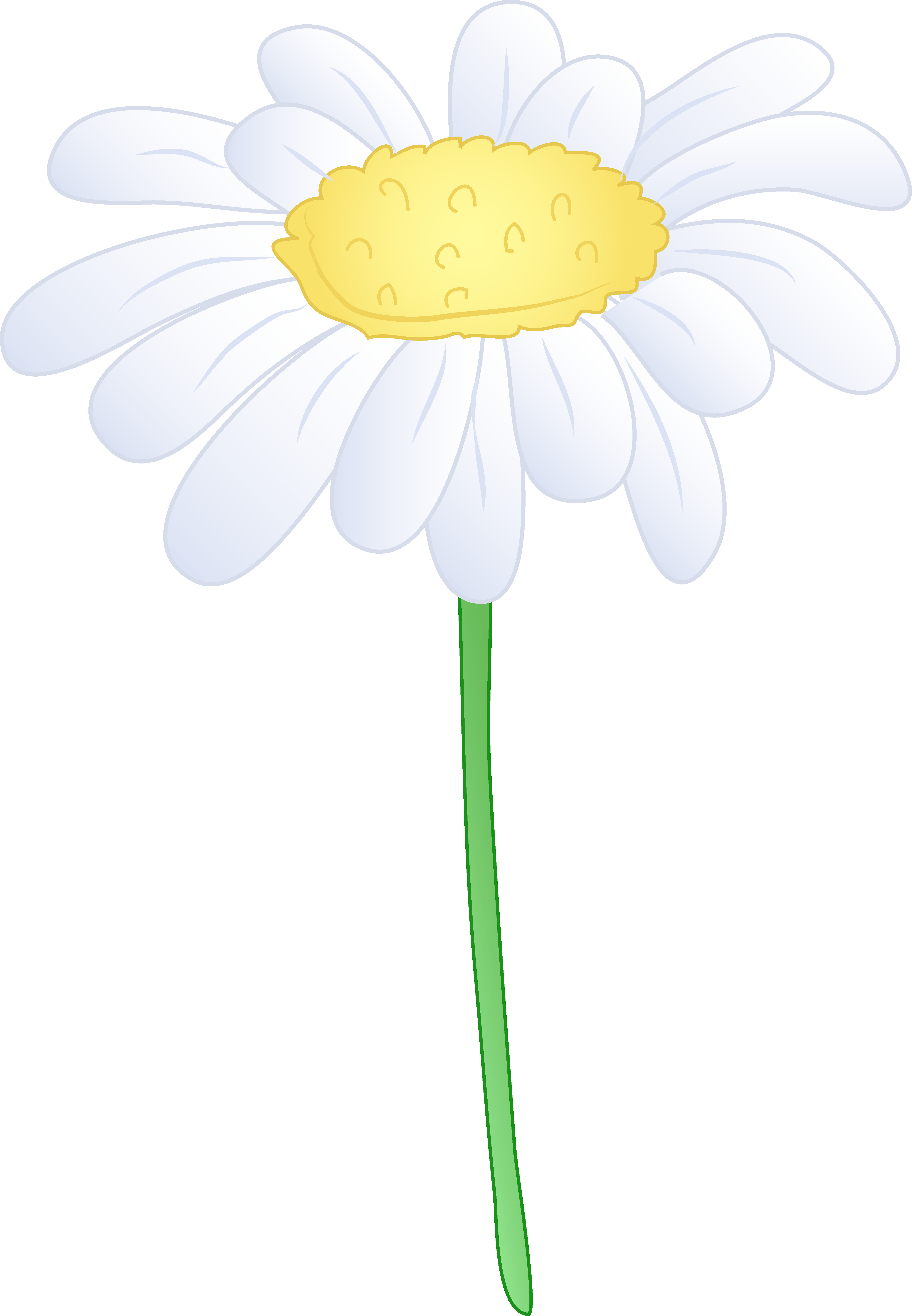 Free Daisy Flower Cliparts, Download Free Daisy Flower Cliparts png