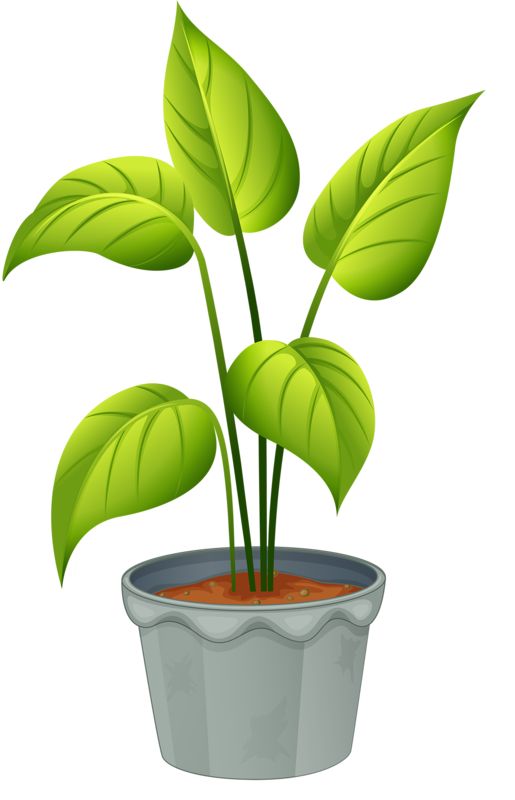 Free Large Plant Cliparts, Download Free Large Plant Cliparts png