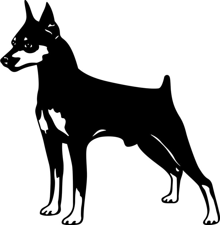 doberman outline Clip Art Library