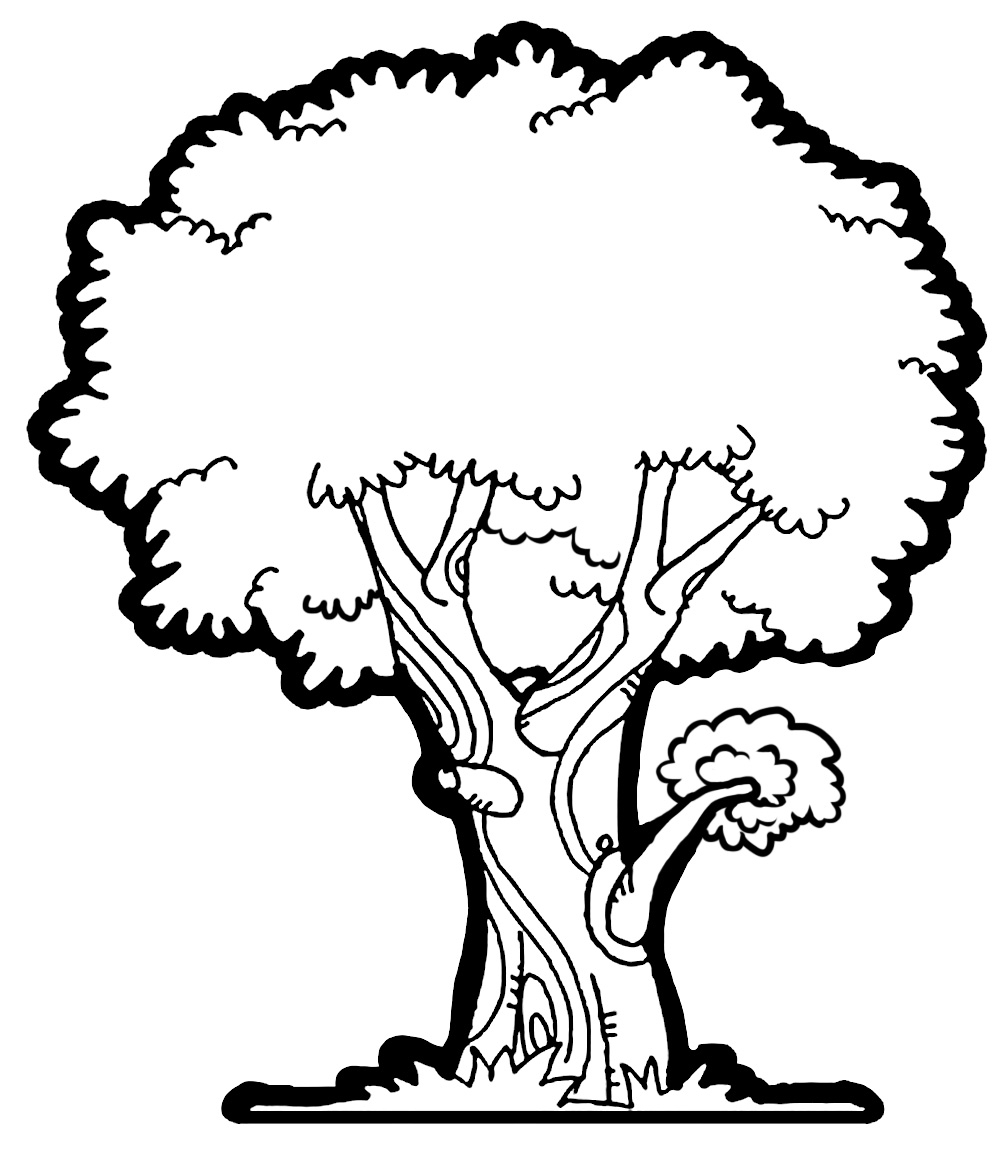 Free PublicDomain Tree Cliparts, Download Free PublicDomain Tree