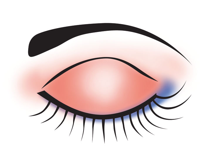 Free Cliparts Eye Makeup, Download Free Cliparts Eye Makeup png images