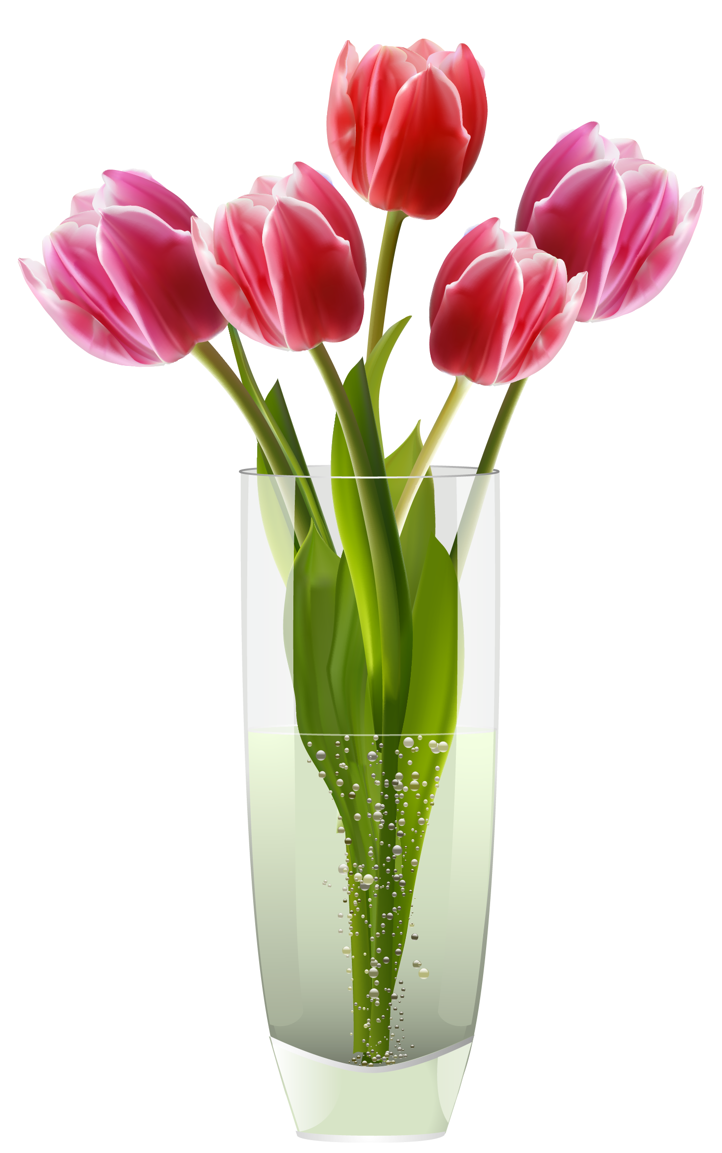 Flower Vase Clipart Png Free PNG Image