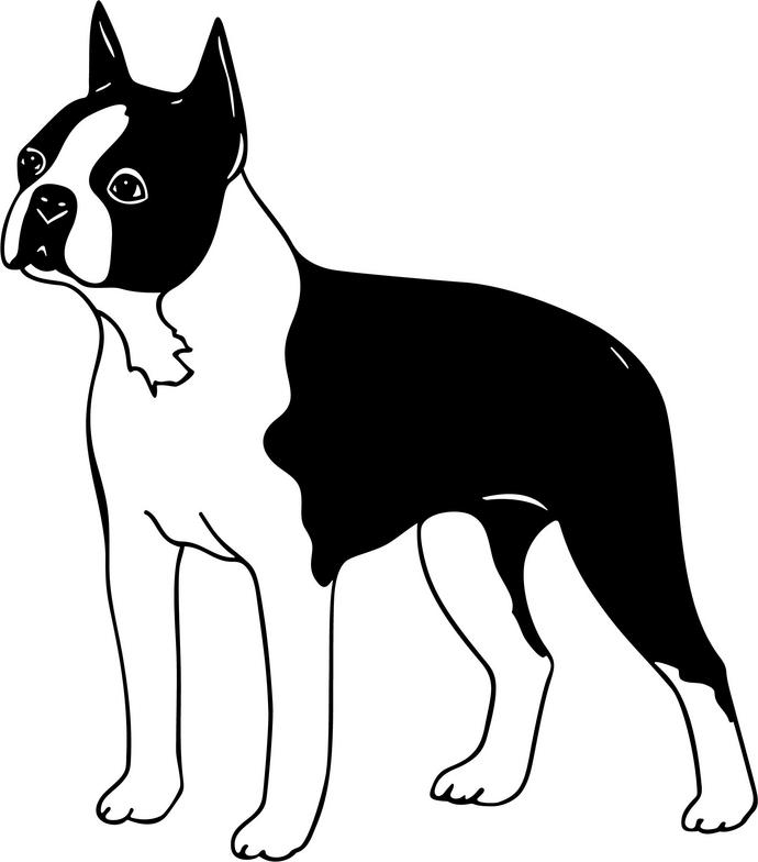Boston Terrier Clipart Add Some Adorable Style to Your Designs