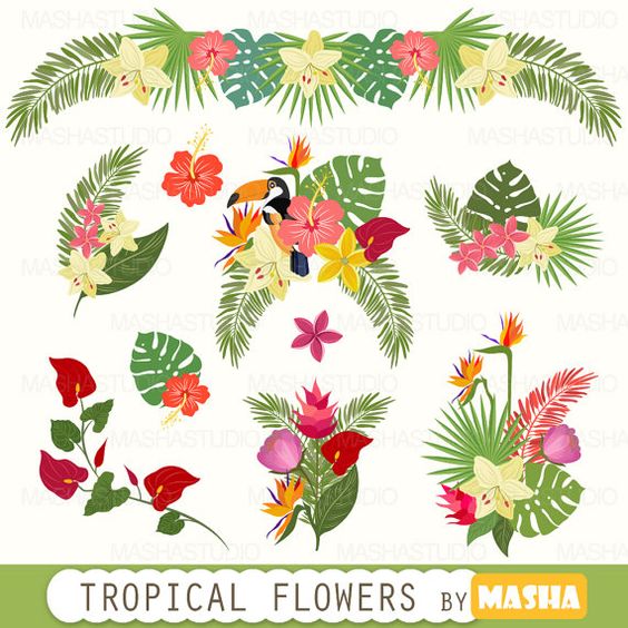 Free Tropical Flowers Cliparts, Download Free Tropical Flowers Cliparts
