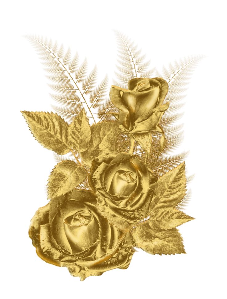 Free Gold Roses Cliparts, Download Free Gold Roses Cliparts png images