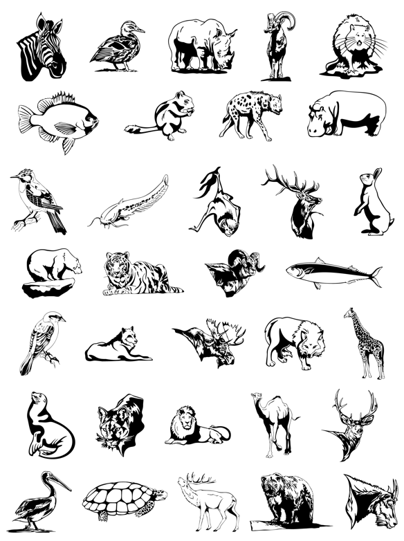 Free Black And White Jungle Animals, Download Free Black And White Jungle Animals png images