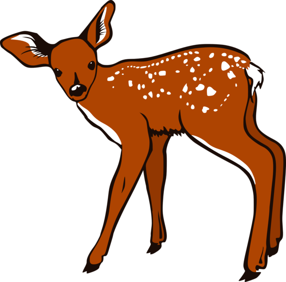 Free Baby Deer Cliparts, Download Free Baby Deer Cliparts png images