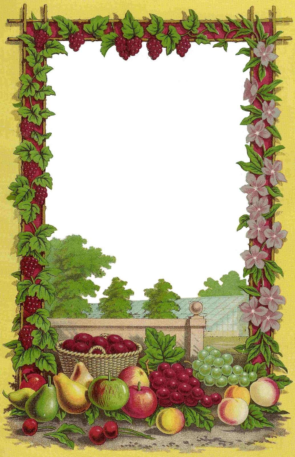 Free Fruit Borders Cliparts, Download Free Fruit Borders Cliparts png