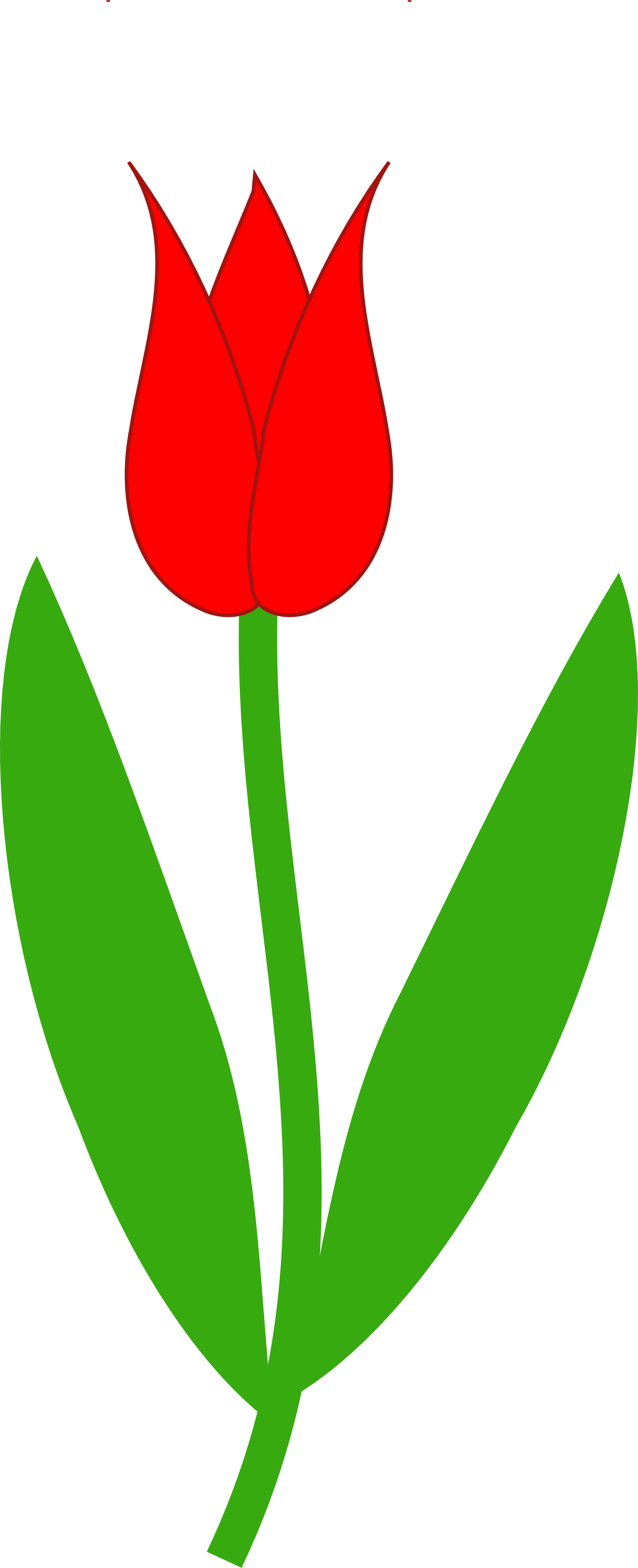 Free Tulip Cliparts Outline, Download Free Tulip Cliparts Outline png images, Free ClipArts on