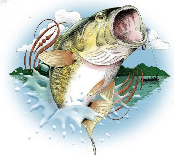 Free Bass Fish Cliparts, Download Free Bass Fish Cliparts png images