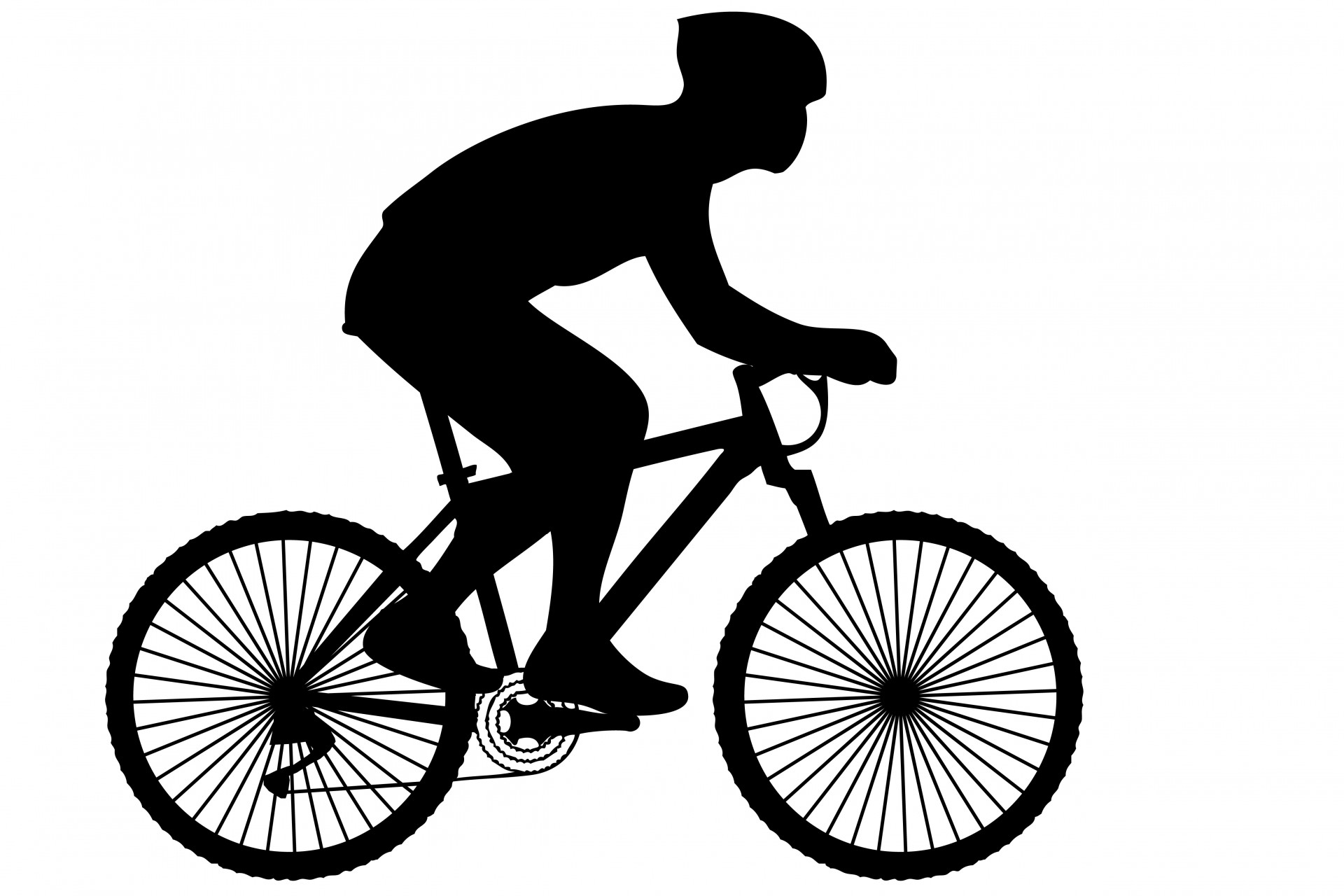 Free Bicycle Rider Cliparts, Download Free Bicycle Rider Cliparts png