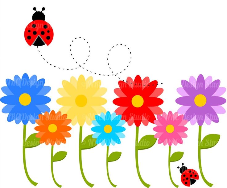 Free Cute Daisy Cliparts, Download Free Cute Daisy Cliparts png images