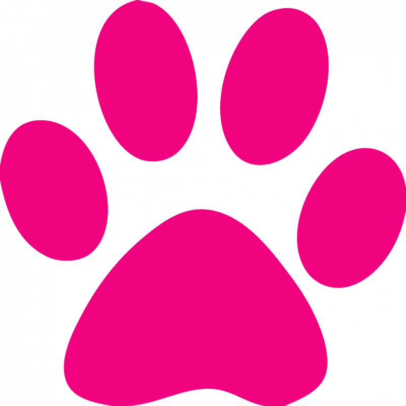 Free Pink Cat Cliparts, Download Free Pink Cat Cliparts png images