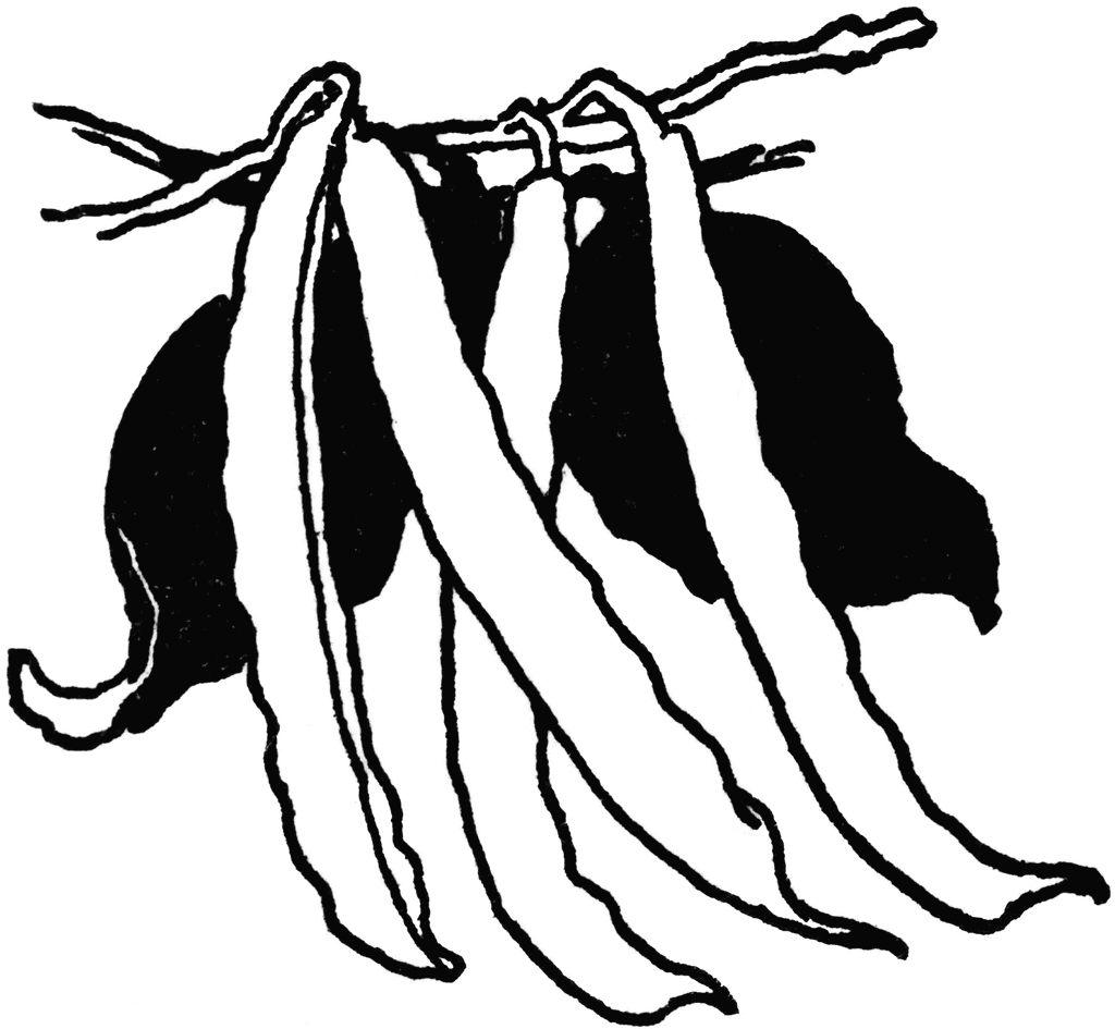 Free Black Beans Cliparts, Download Free Black Beans Cliparts png images, Free ClipArts on