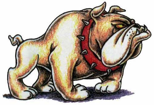 Free Army Bulldog Cliparts, Download Free Army Bulldog Cliparts Png Images, Free Cliparts On Clipart Library 341_x_500_jpg