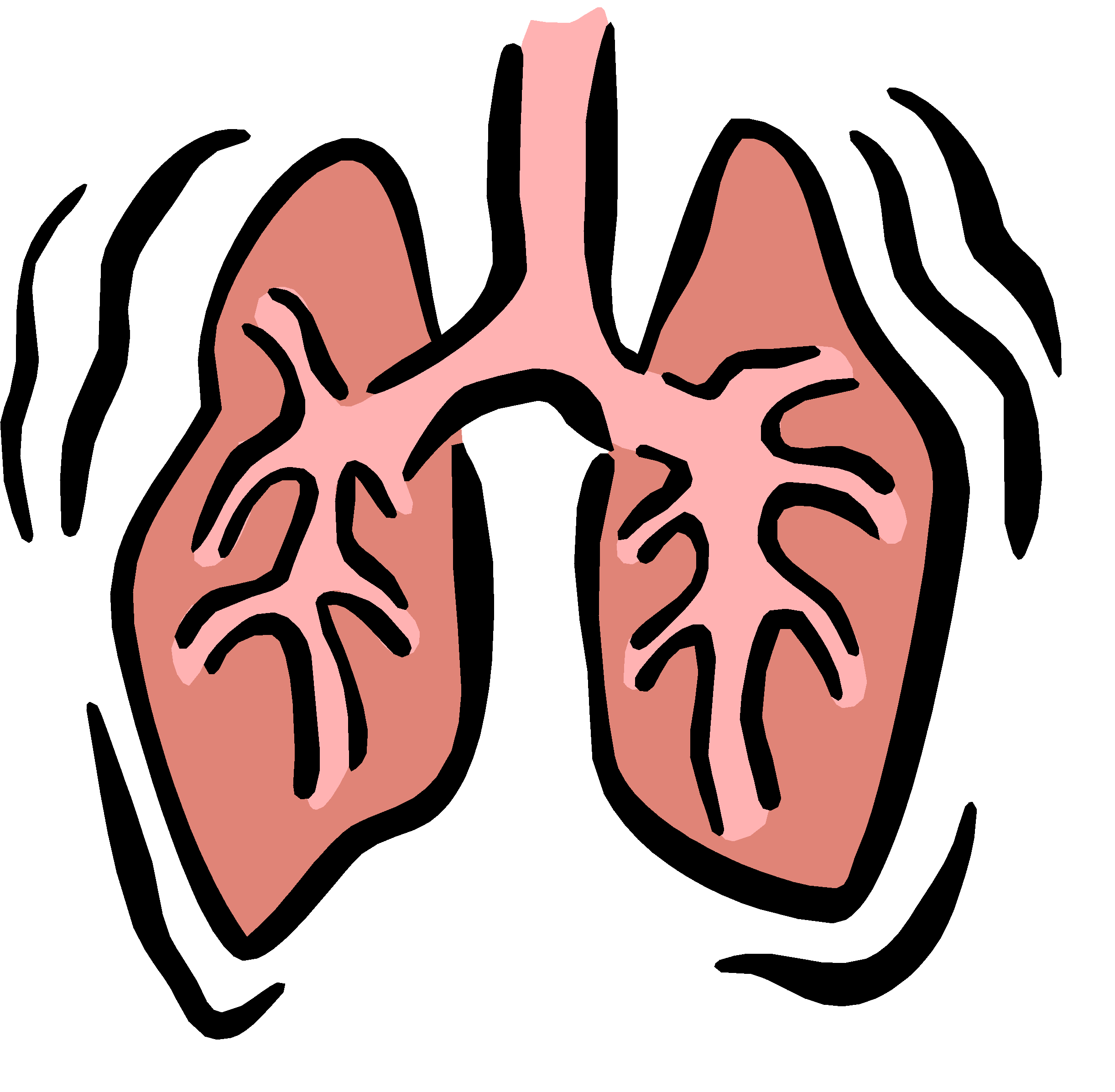 Free Small Lungs Cliparts, Download Free Small Lungs Cliparts png