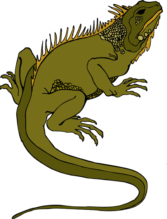 Free Horned Lizard Cliparts, Download Free Horned Lizard Cliparts png
