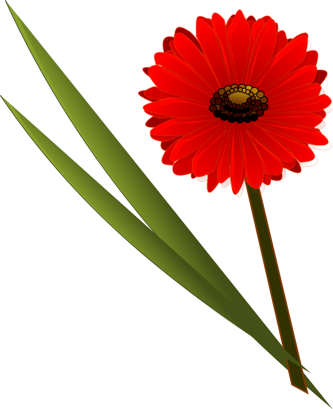 Free Summer Flower Cliparts, Download Free Summer Flower Cliparts png