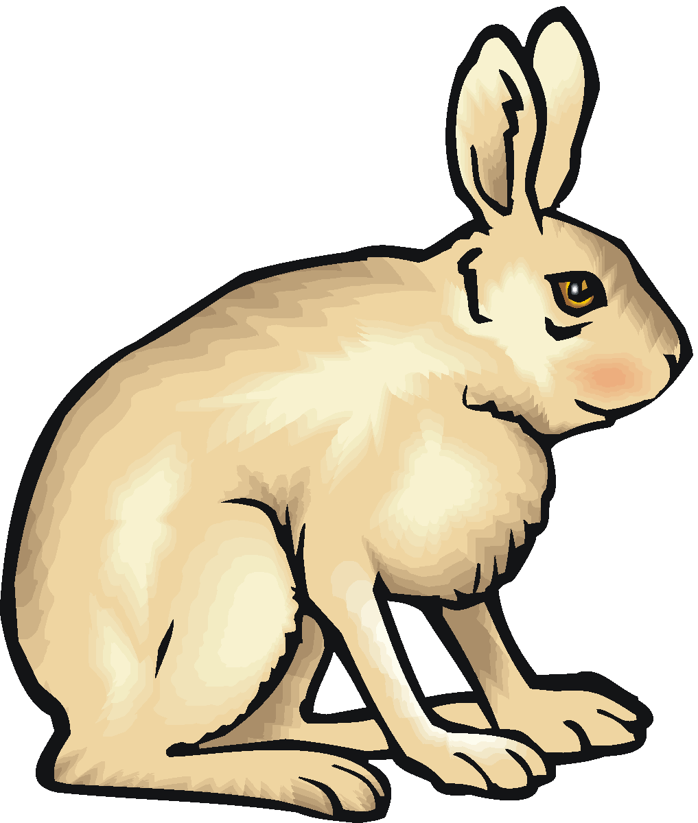 Free Snowshoe Hare Cliparts, Download Free Snowshoe Hare Cliparts png