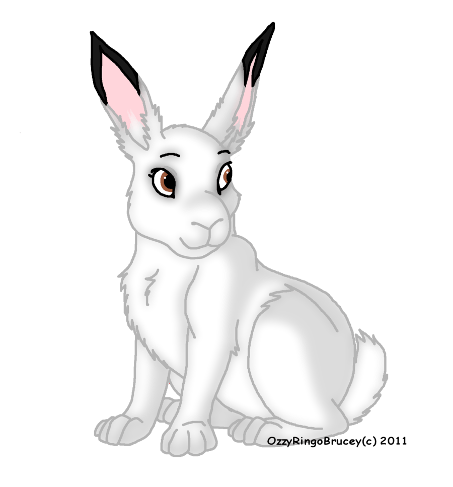Free Arctic Hare Cliparts, Download Free Arctic Hare Cliparts png