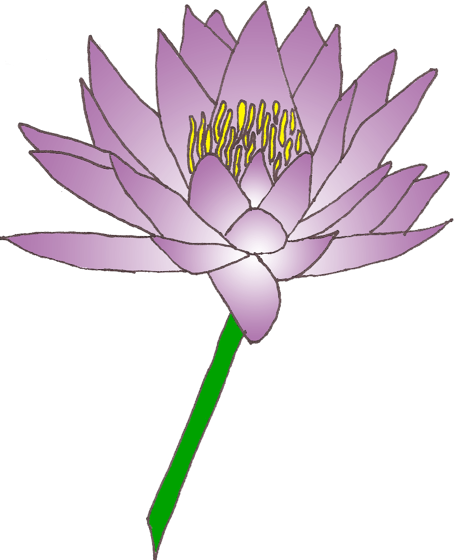 Free Water Lily Cliparts, Download Free Water Lily Cliparts png images