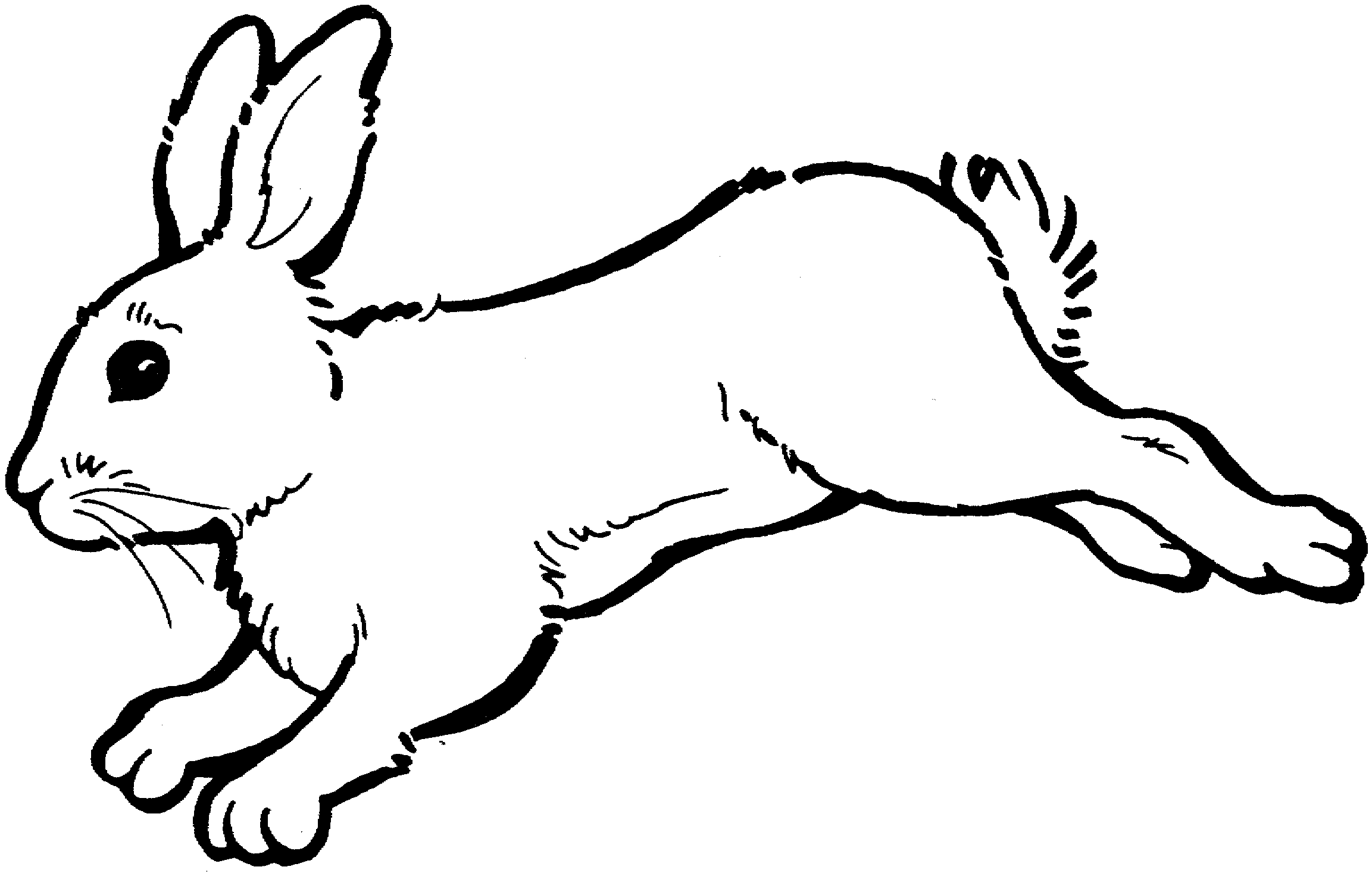 Free Rabbit Cooking Cliparts, Download Free Rabbit Cooking Cliparts png images, Free ClipArts on