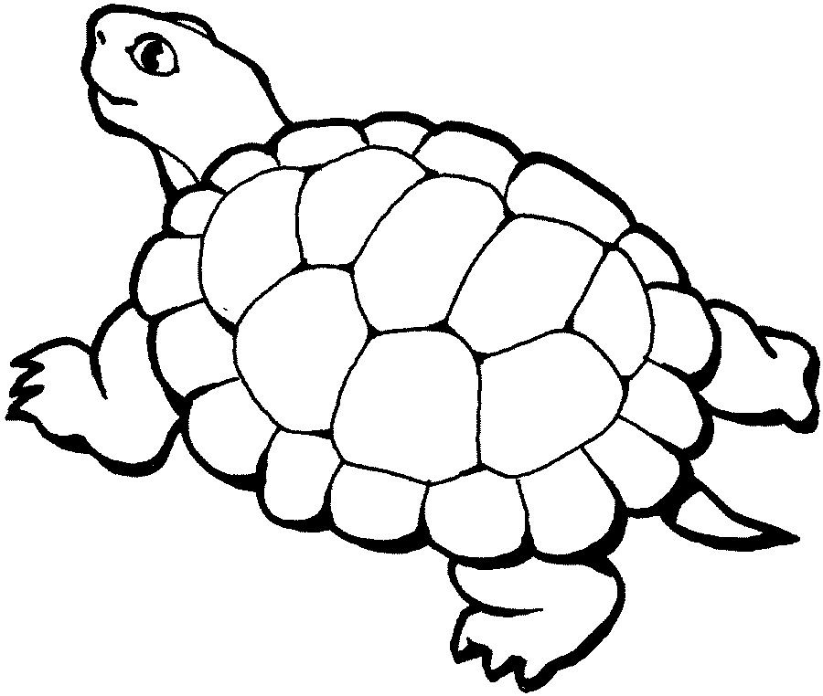 Free Red Turtle Cliparts, Download Free Clip Art, Free