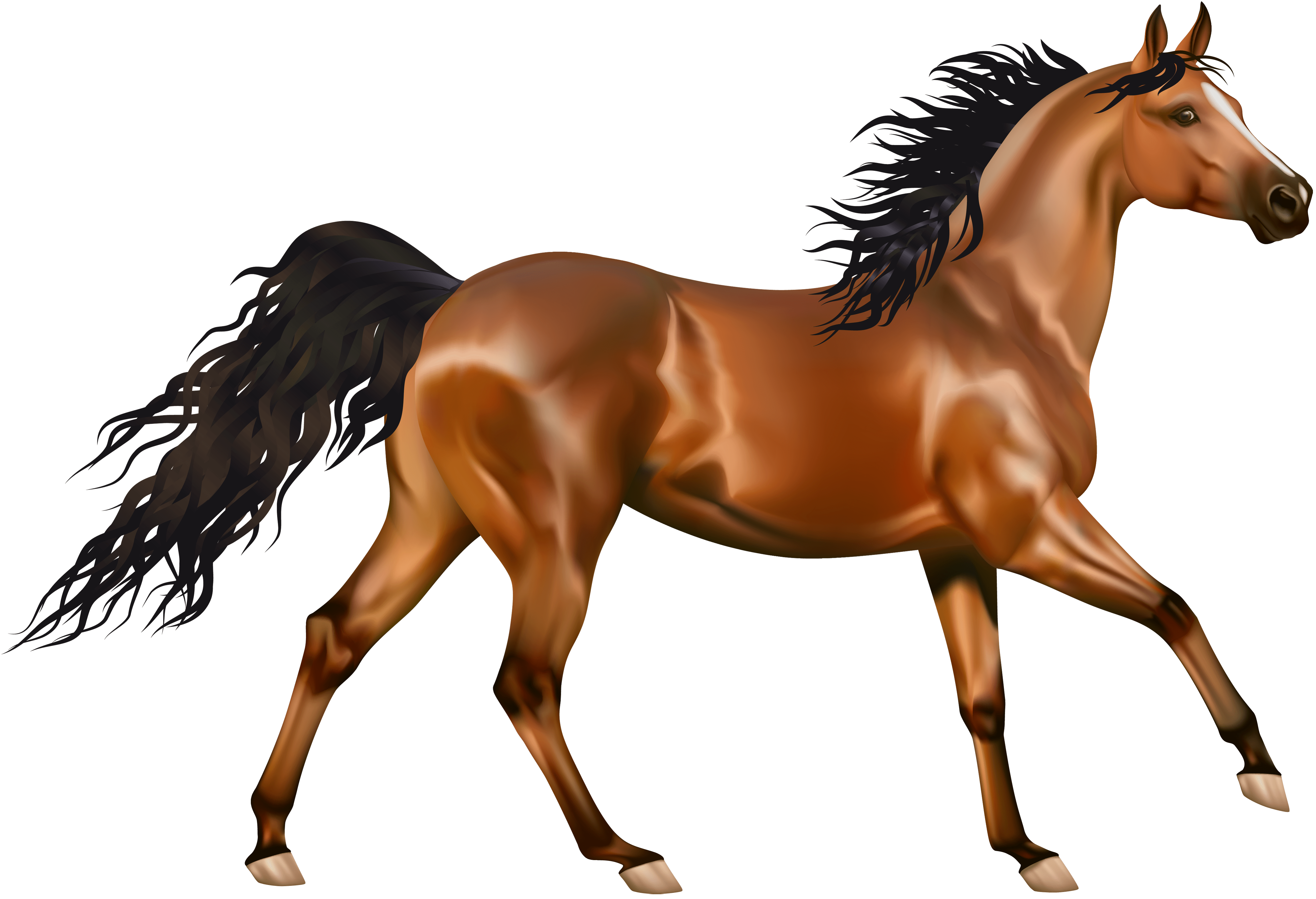 Horse Running Clipart Running Horse Clipart 10 Free Cliparts Bodewasude