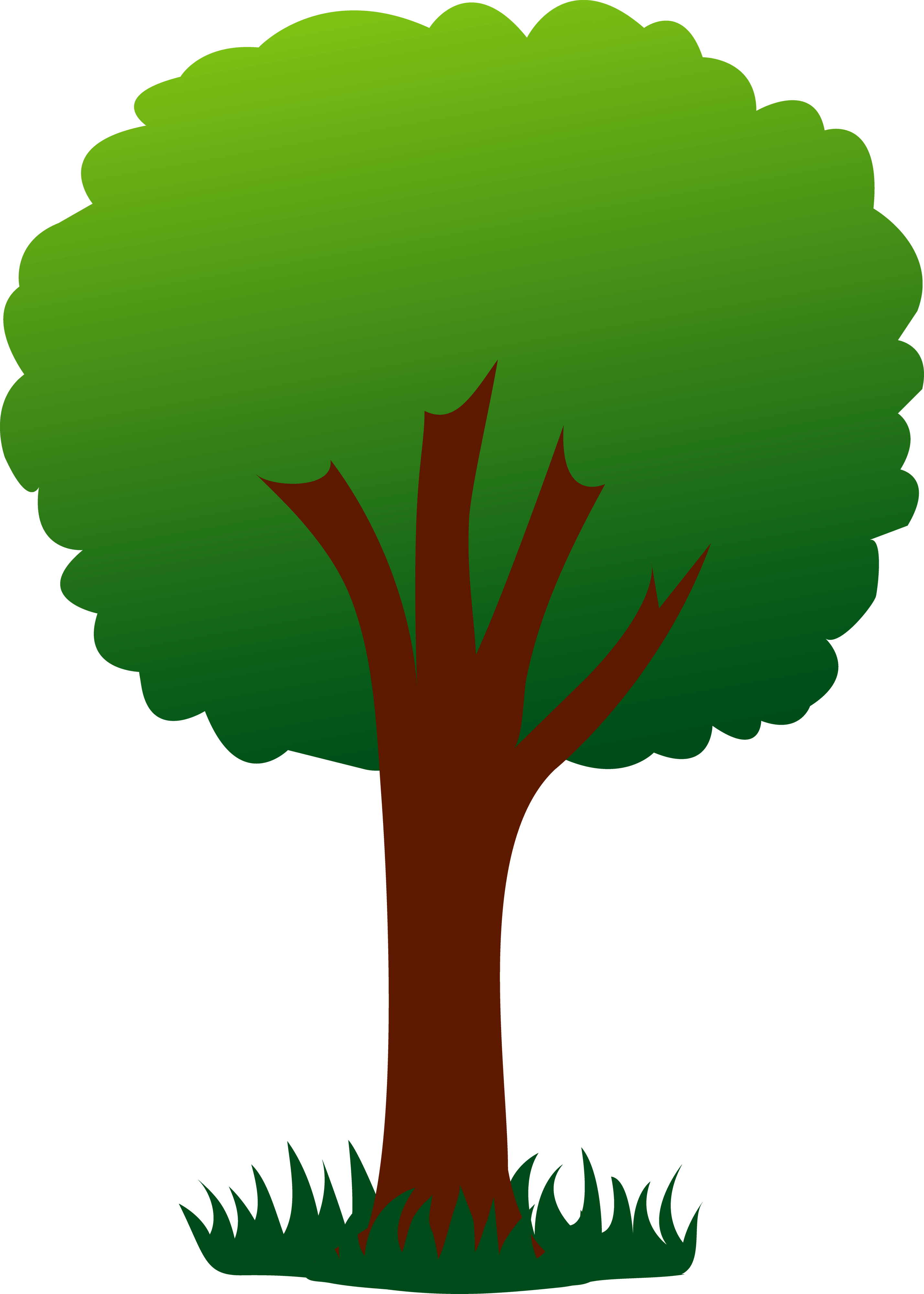 Free Trees Png Top View, Download Free Trees Png Top View png images