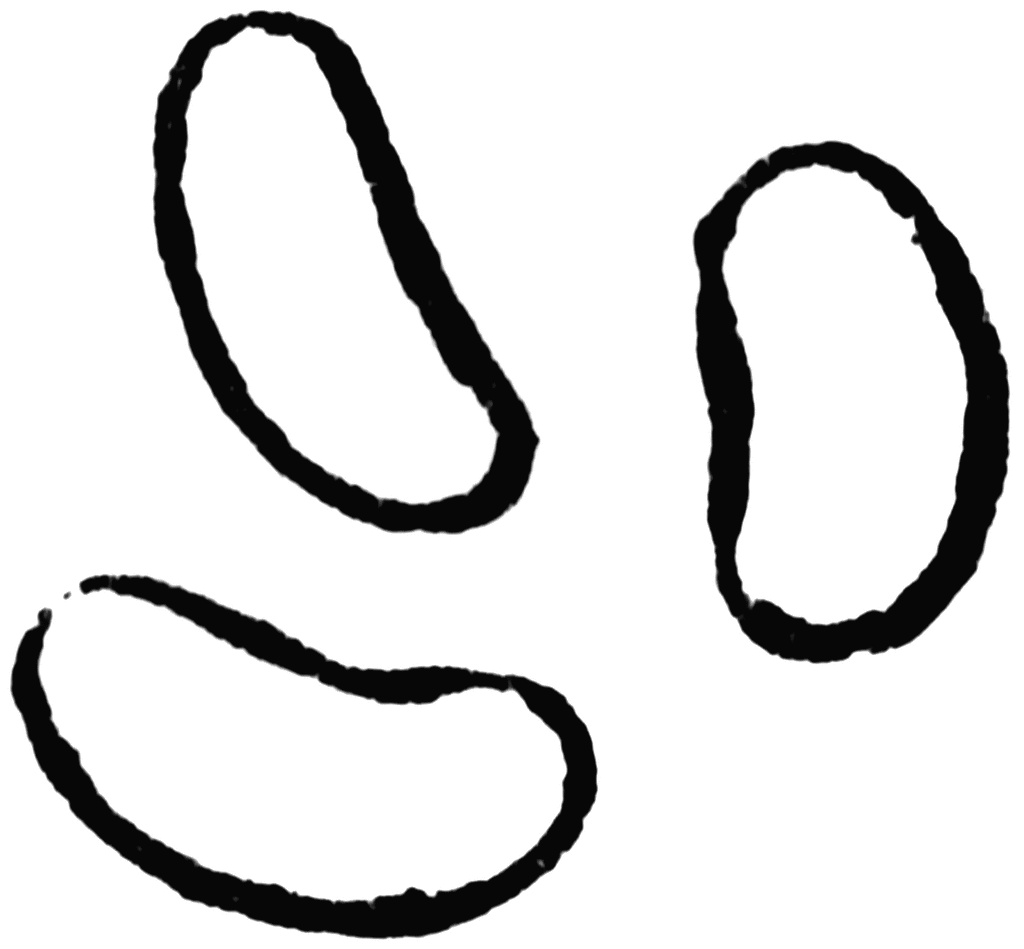 Free Cliparts Bean Seed, Download Free Cliparts Bean Seed png images