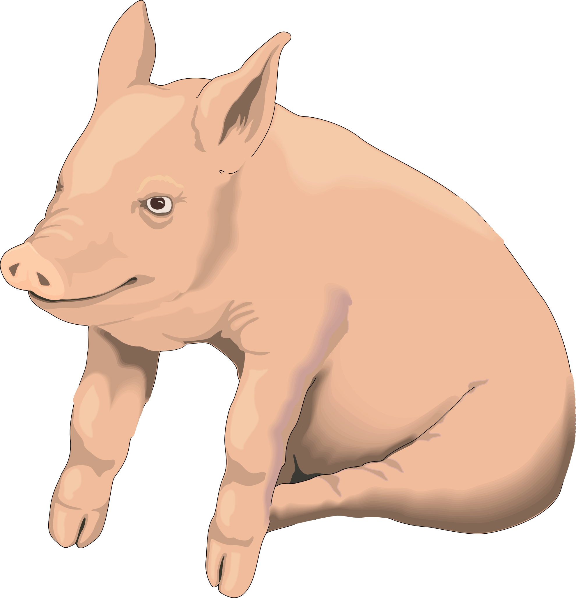 Free Transparent Pig, Download Free Transparent Pig png images, Free