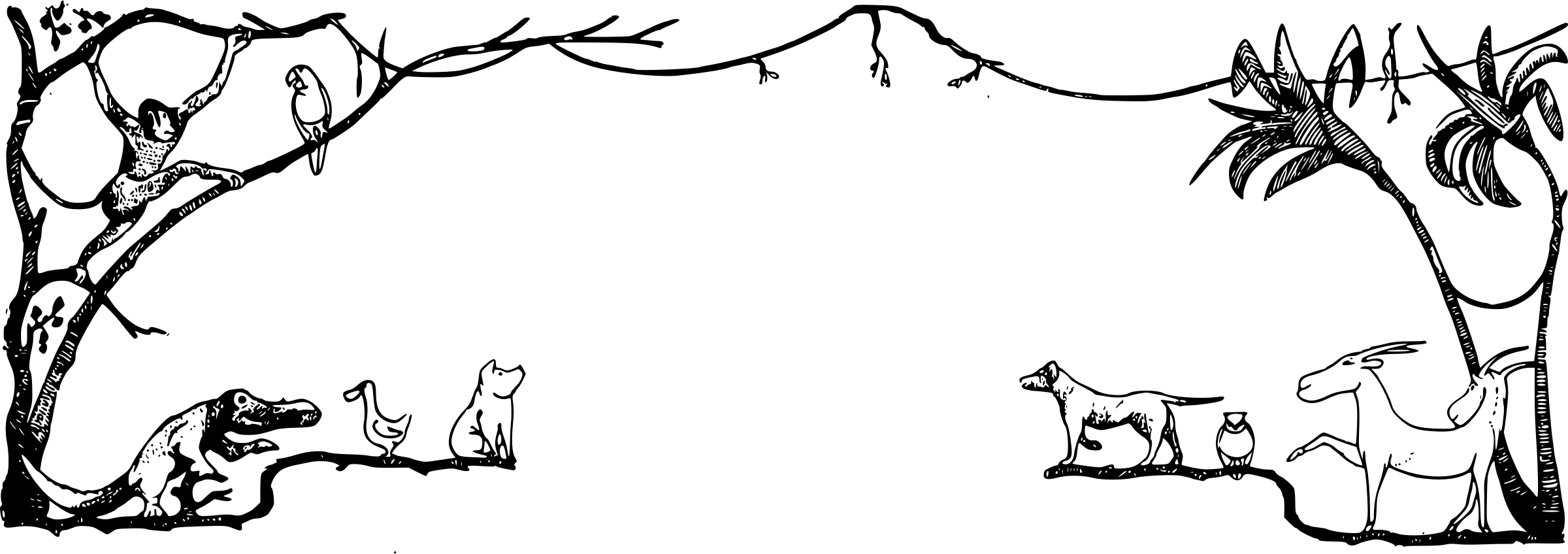 Jungle Background Clipart Black And White