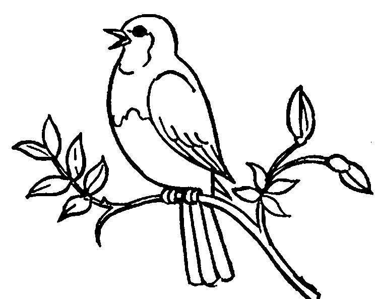 Bird Clip Art Black And White
