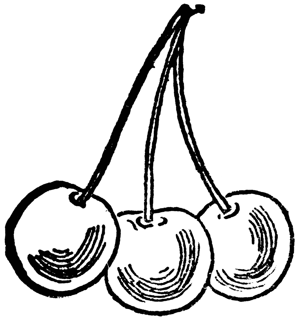 Black Cherry Cliparts Add a Sleek and Modern Twist to Your Designs