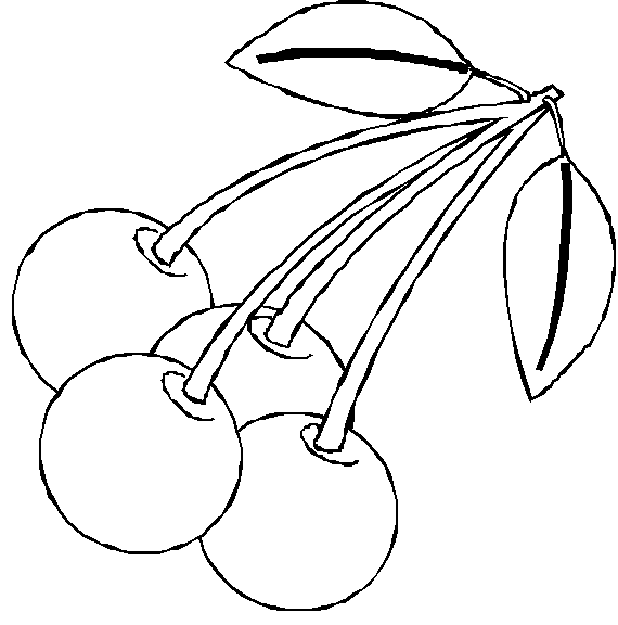 Black Cherry Cliparts Add a Sleek and Modern Twist to Your Designs