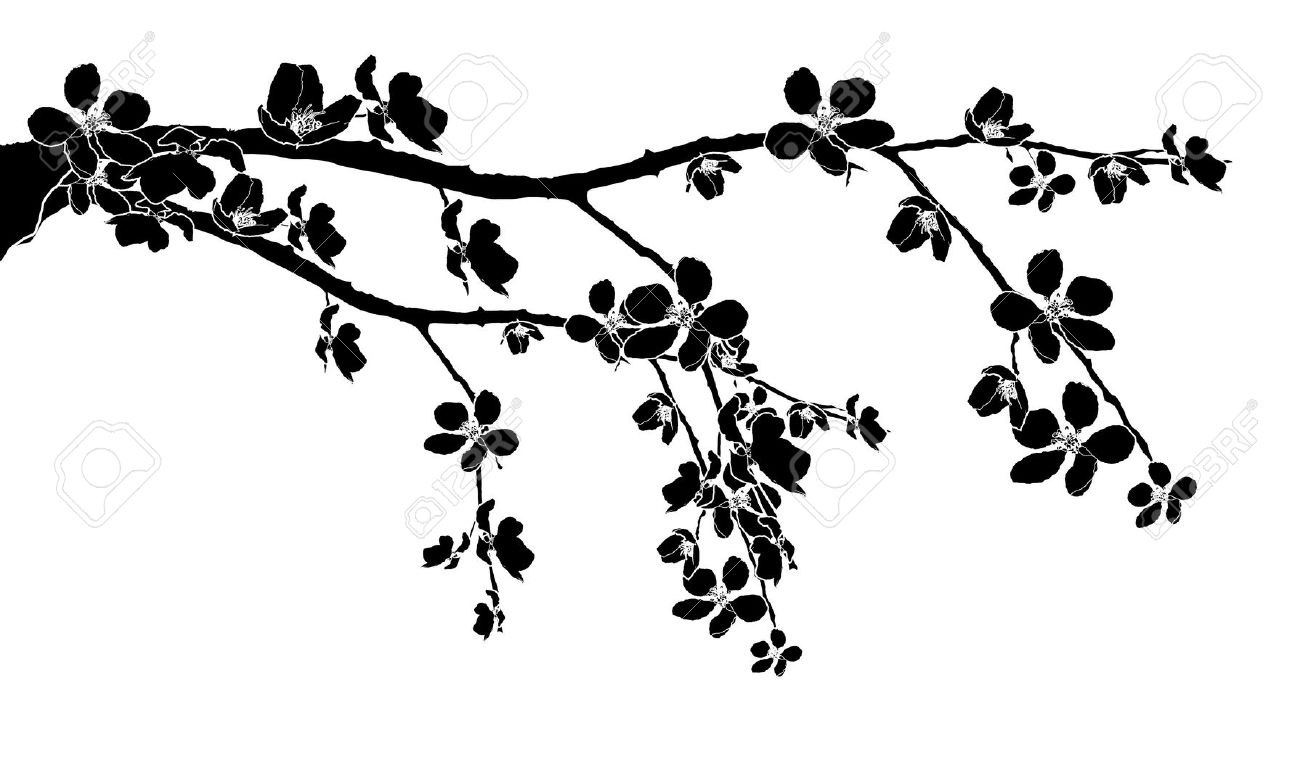 Free Black And White Sakura, Download Free Black And White Sakura png
