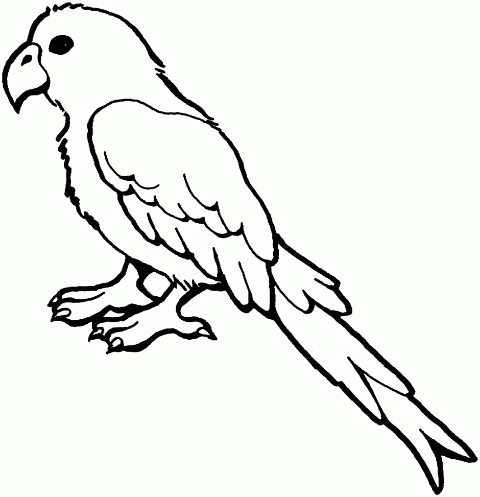 Free Parrot Black And White Clipart, Download Free Parrot Black And