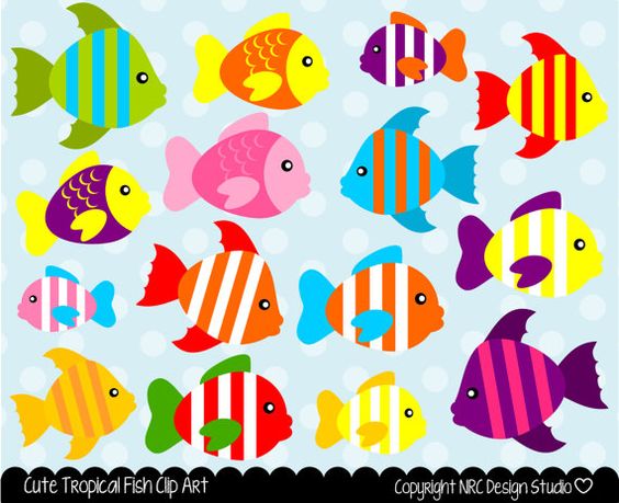 Free Colorful Fish Cliparts, Download Free Colorful Fish Cliparts png