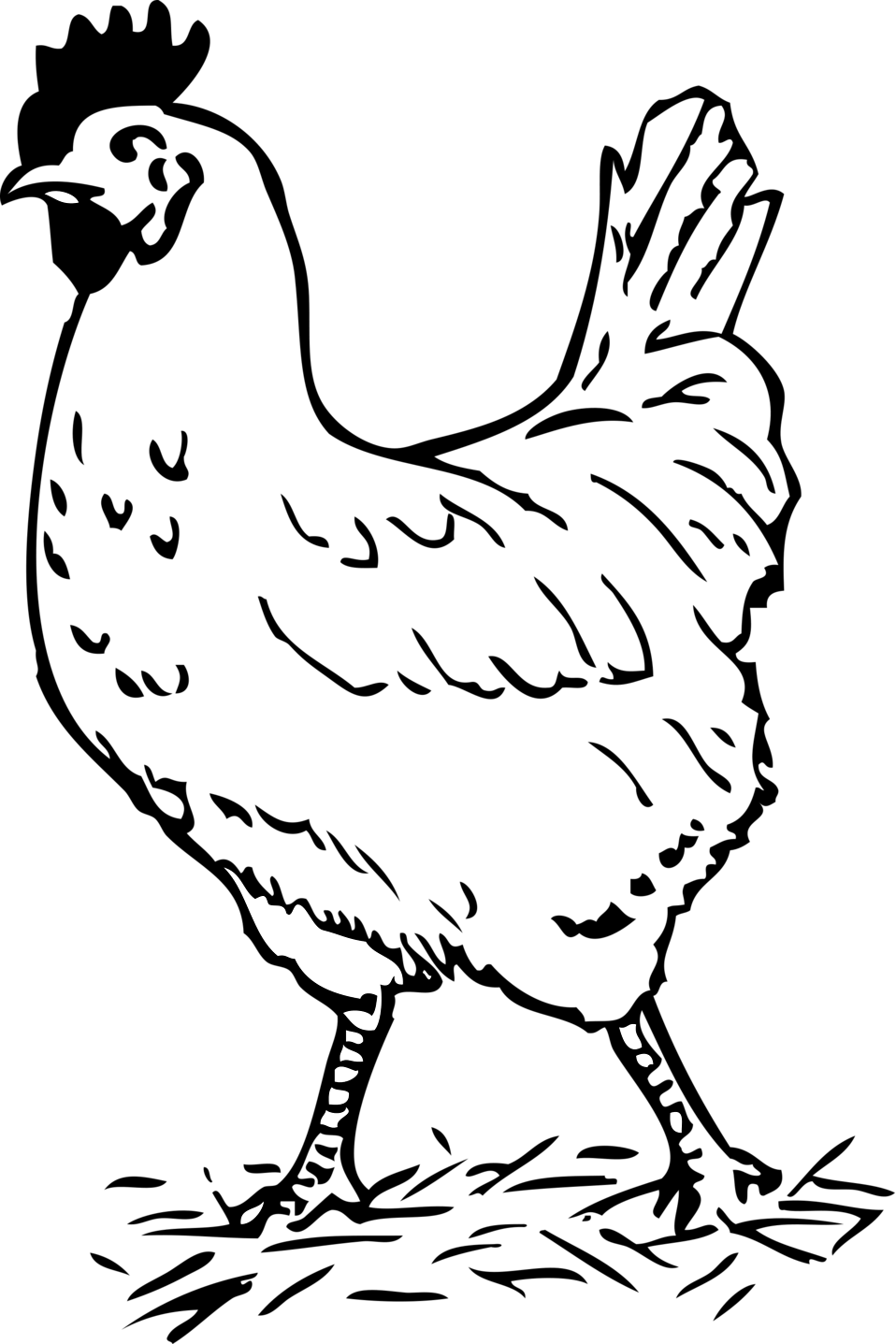 Free Chicken Black And White Clipart, Download Free Chicken Black And