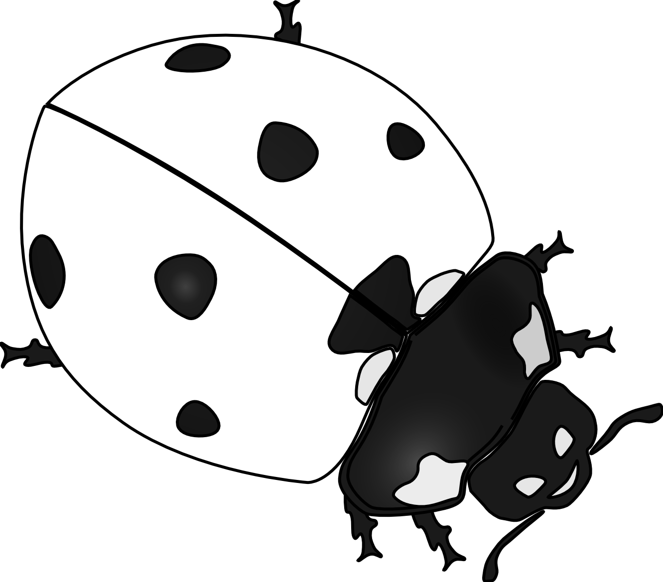 Free Black Ladybug Cliparts, Download Free Black Ladybug Cliparts png