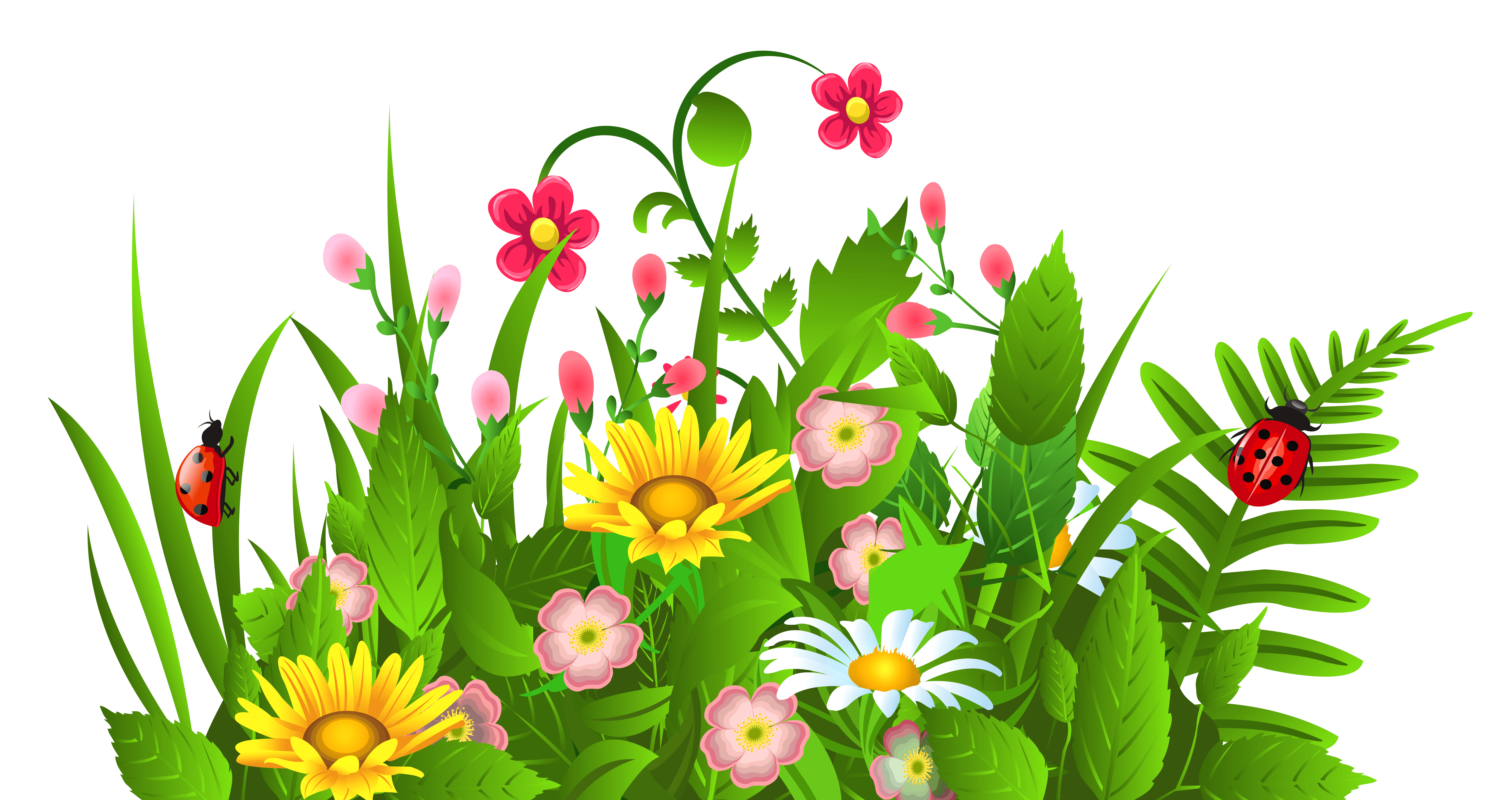 Free Green Wildflower Cliparts, Download Free Green Wildflower Cliparts png images, Free