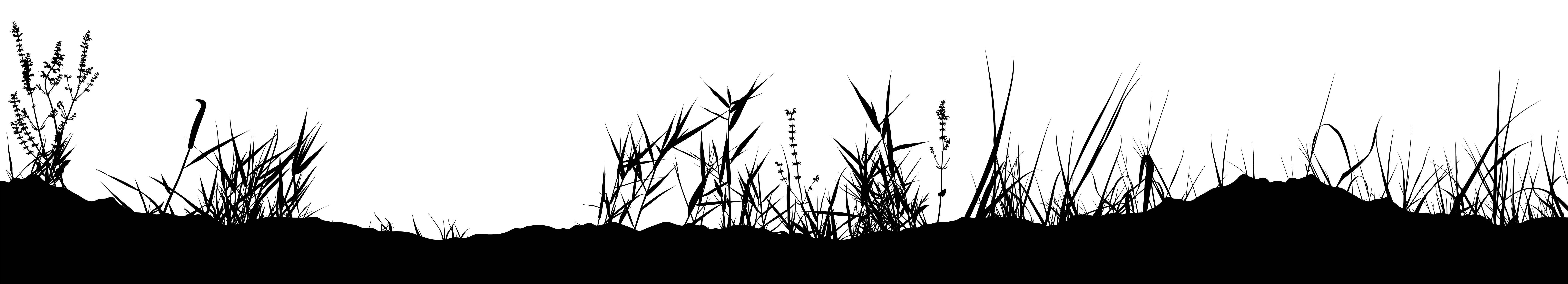 Nature Clipart Png Image Grass Clipart Grass Silhouette Grass Wallpaper