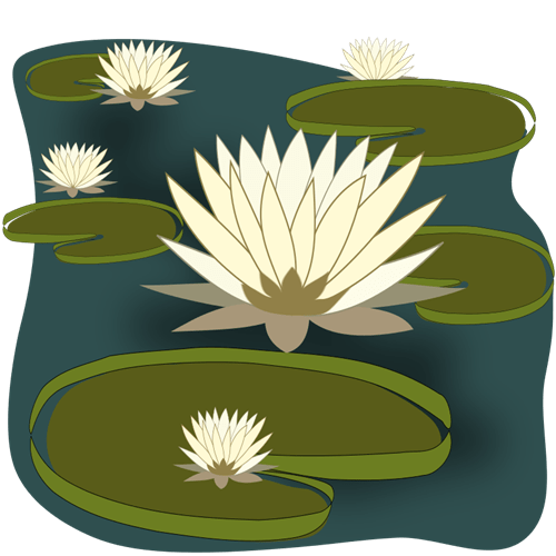 Free Lily Pond Cliparts, Download Free Lily Pond Cliparts png images