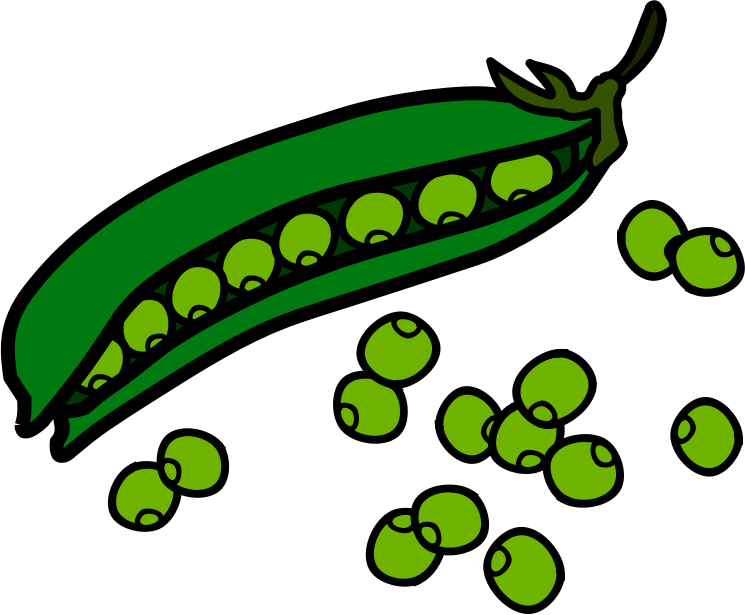 Free String Bean Cliparts, Download Free String Bean Cliparts png images, Free ClipArts on