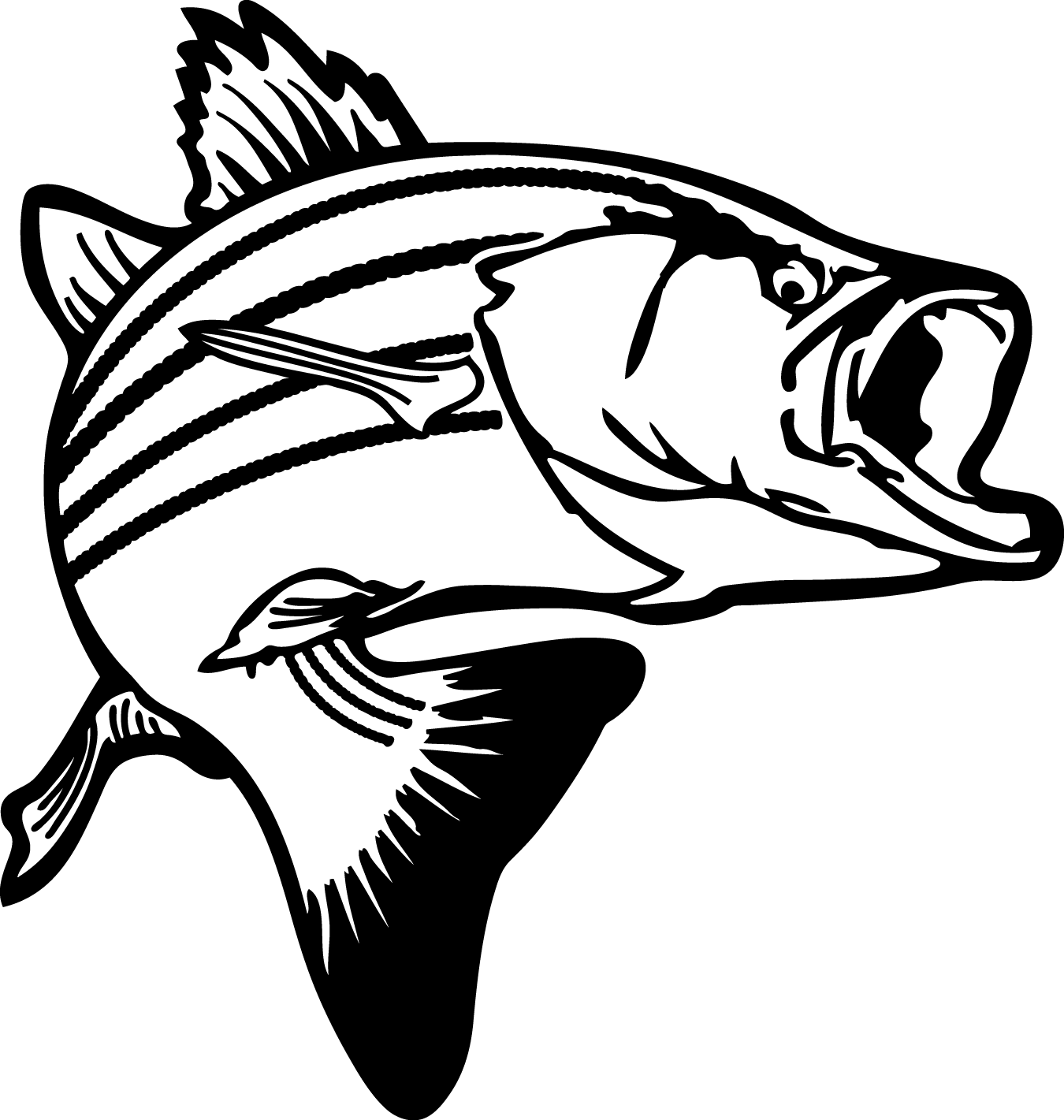 Free Striped Bass Cliparts, Download Free Striped Bass Cliparts png