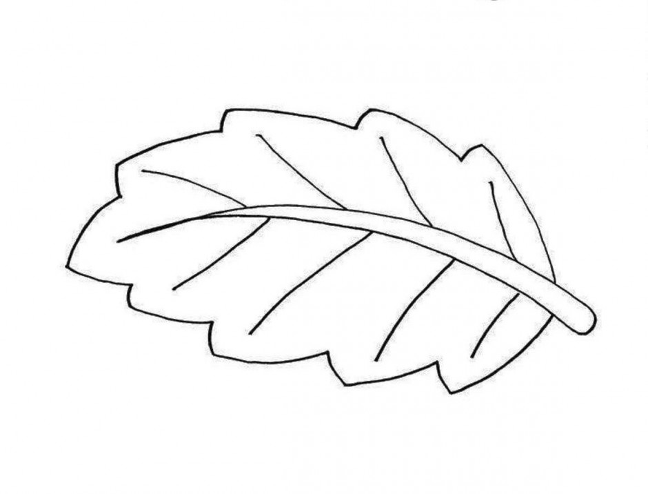 Free Leaf Clipart Black And White, Download Free Leaf Clipart Black And