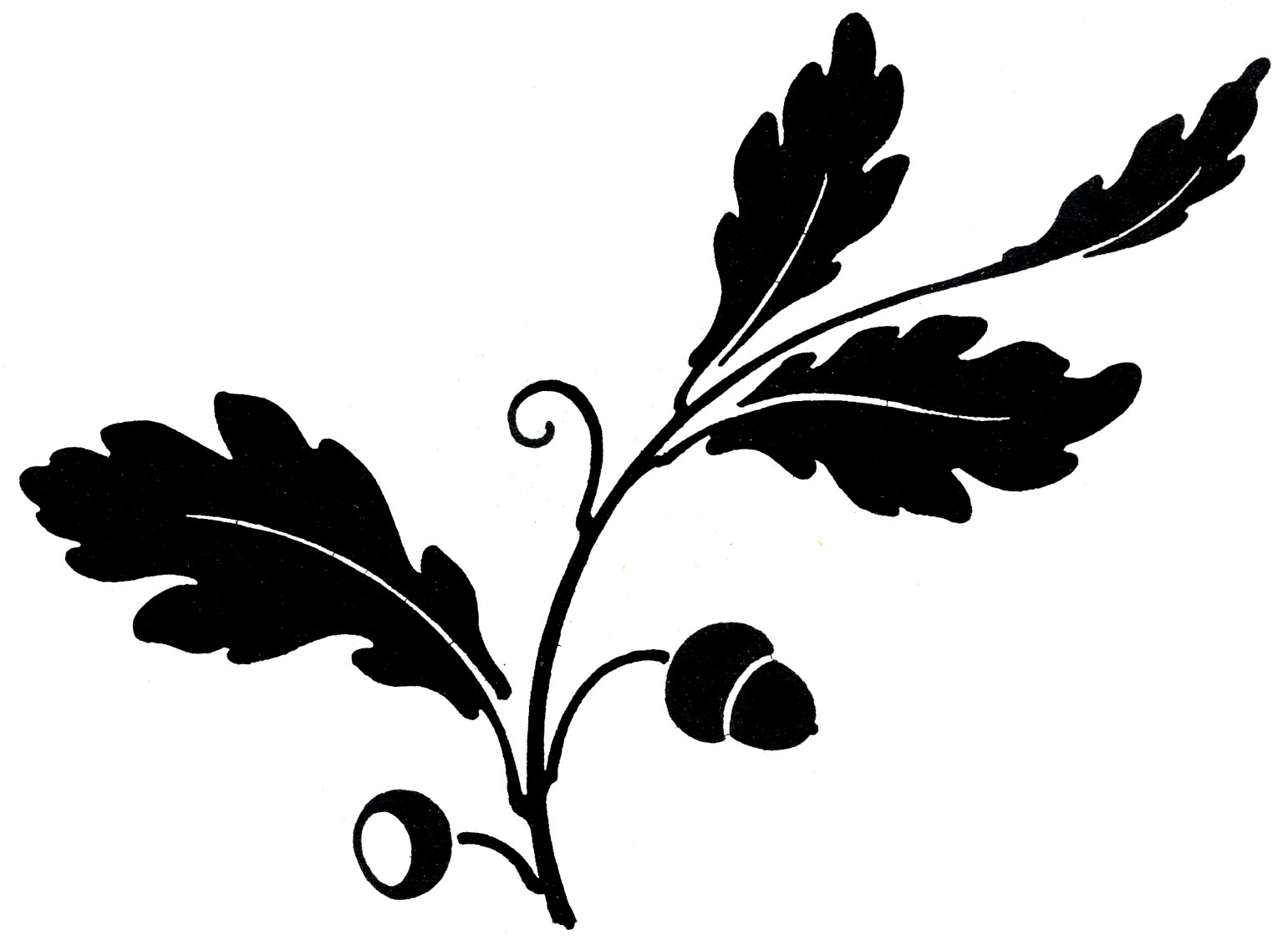 oak leaves png design Clip Art Library