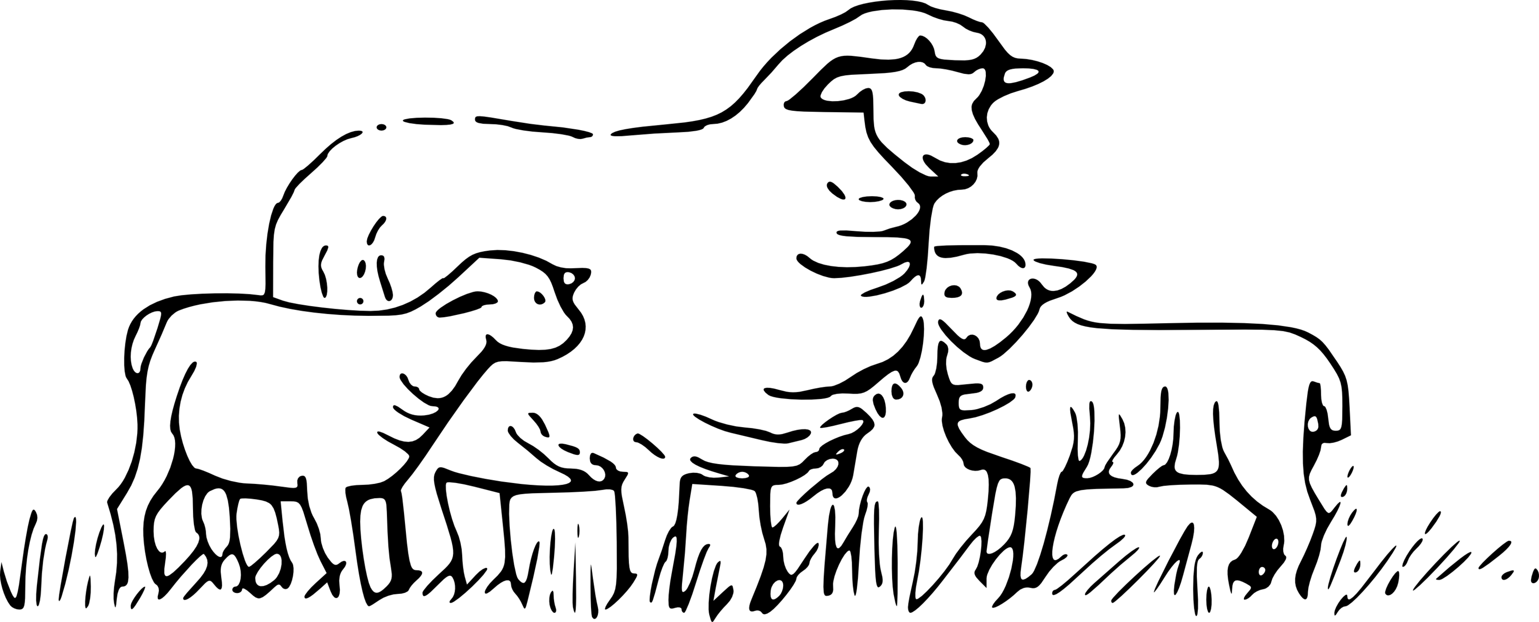 Free Lamb Outline Cliparts, Download Free Lamb Outline Cliparts png