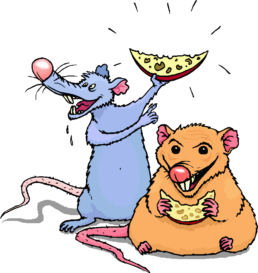 Free Animated Rat Cliparts, Download Free Animated Rat Cliparts png