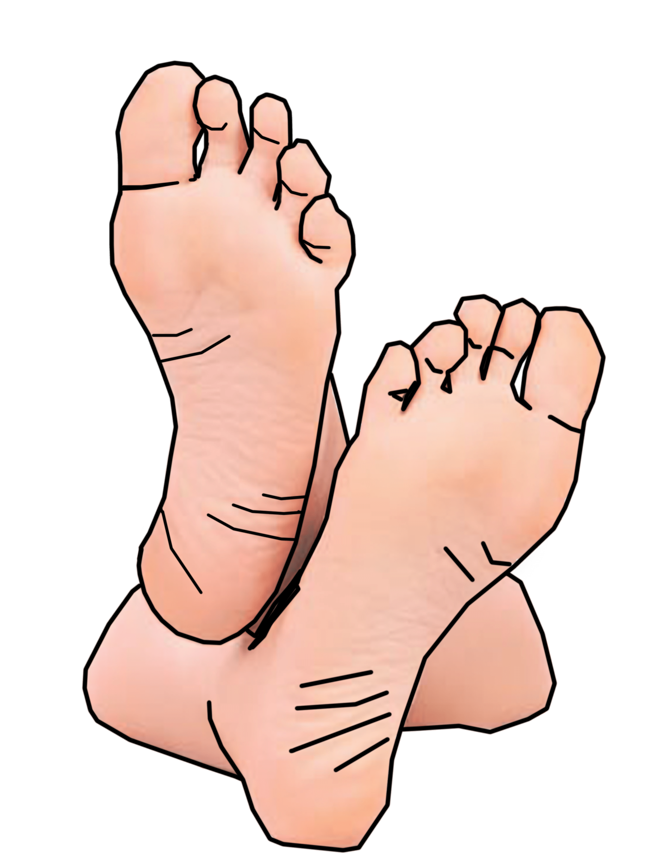 Free Bare Feet Cliparts, Download Free Bare Feet Cliparts png images